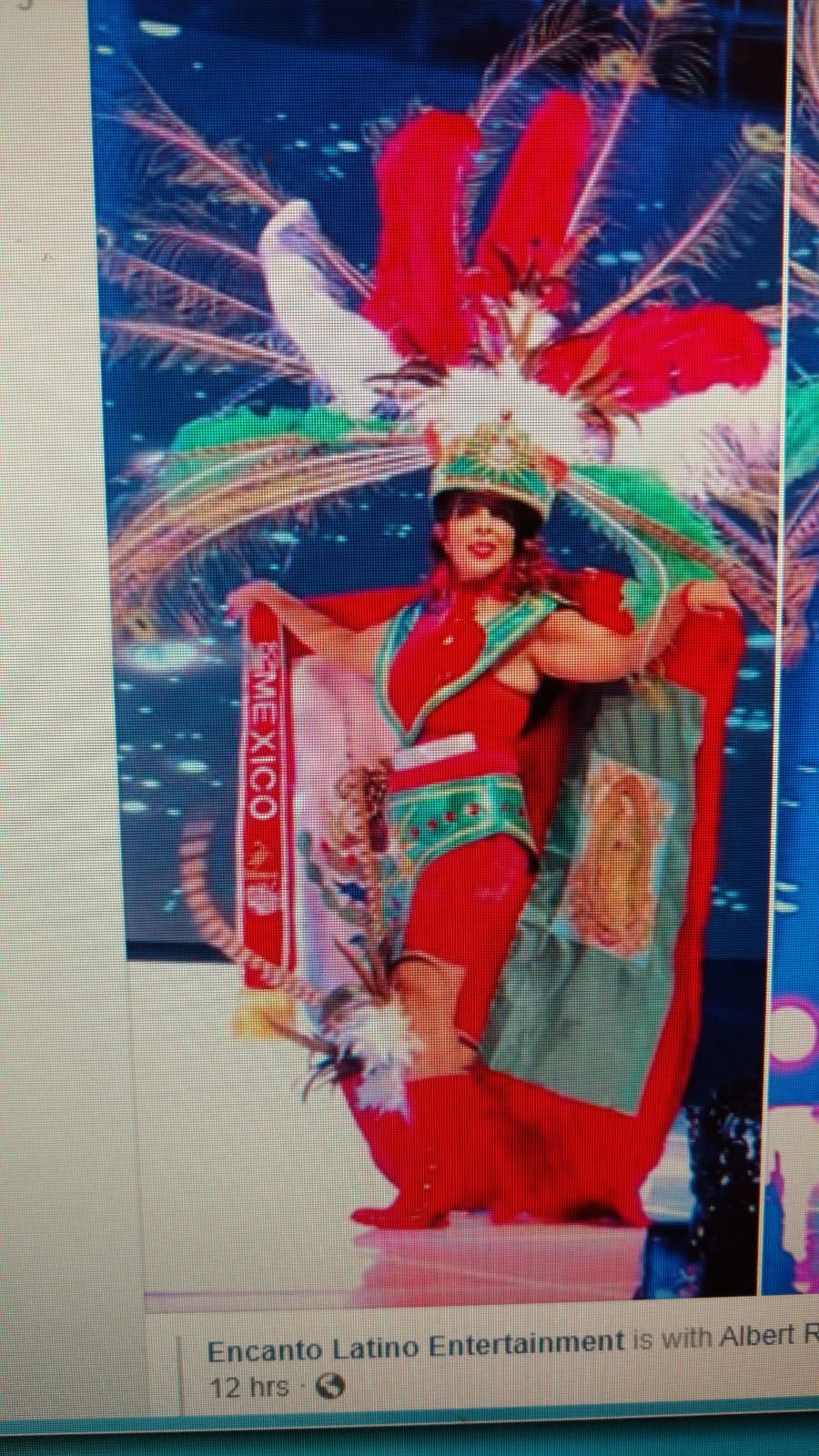 Untitled — Festival Costume, Mexico Colours (title to be confirmed)